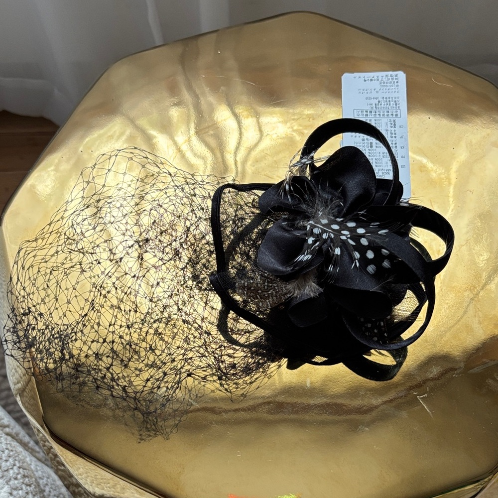 Forever 21 Black Fascinator with Veil and Feathers